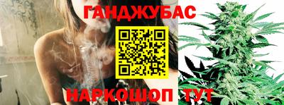 МДПВ Обь