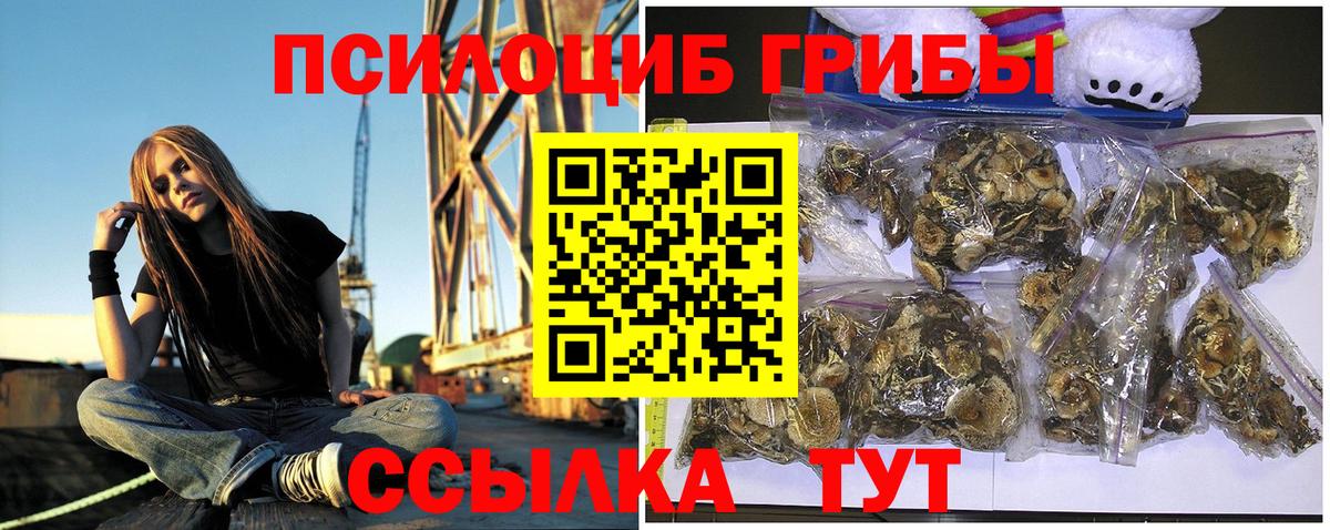 Псилоцибиновые грибы мицелий  Вход с VPN  Саяногорск 