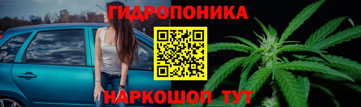 Бошки марихуана Ganja  Марихуана план  Саяногорск  Вход с VPN  Бошки марихуана гибрид  Марихуана сатива 